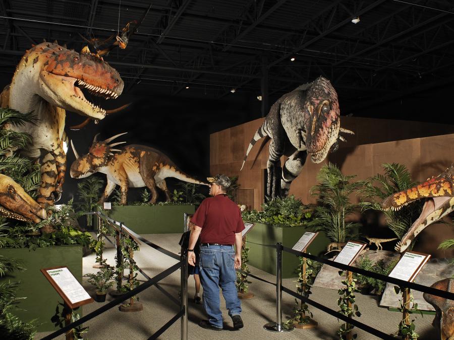 Dinosaur Museum Explore Branson